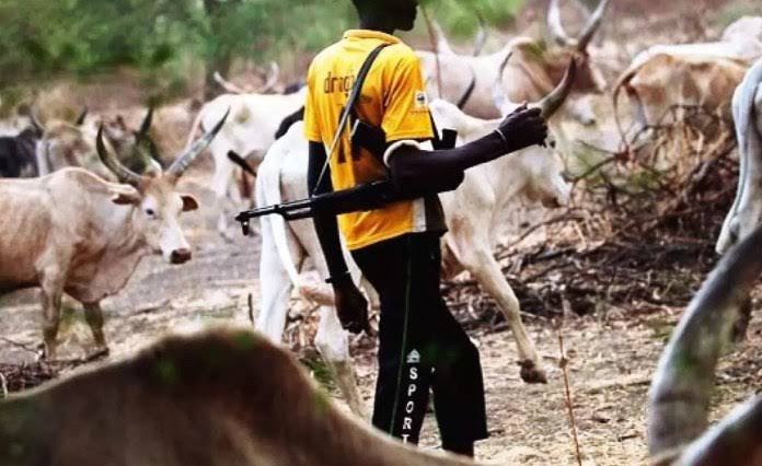 20 Farmers Killed, 5,000 Displaced As Herders Attack Nasarawa Communities